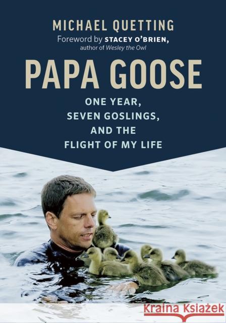 Papa Goose: One Year, Seven Goslings, and the Flight of My Life Quetting, Michael 9781771643610 Greystone Books,Canada - książka