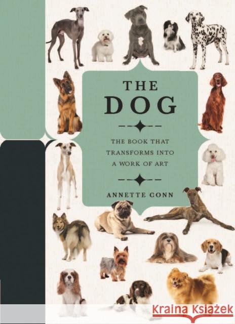 Paperscapes: The Dog: A Book That Transforms Into a Work of Art Conn, Annette 9780233005836 Welbeck Publishing Group - książka