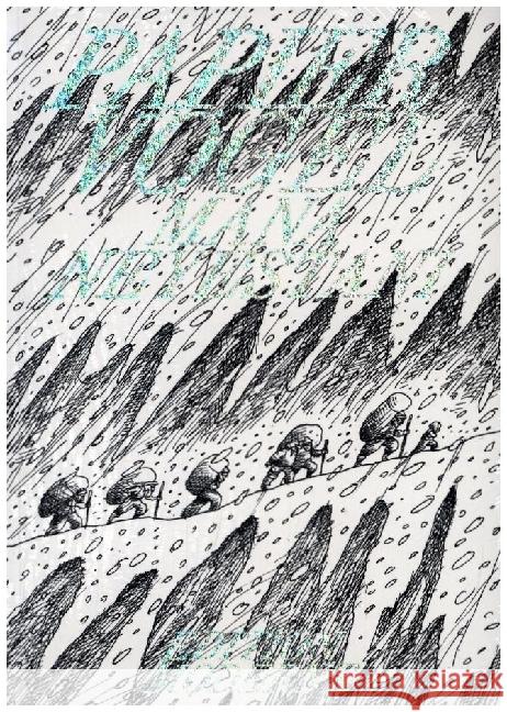 Papiervögel Neyestani, Mana 9783037312872 Edition Moderne - książka