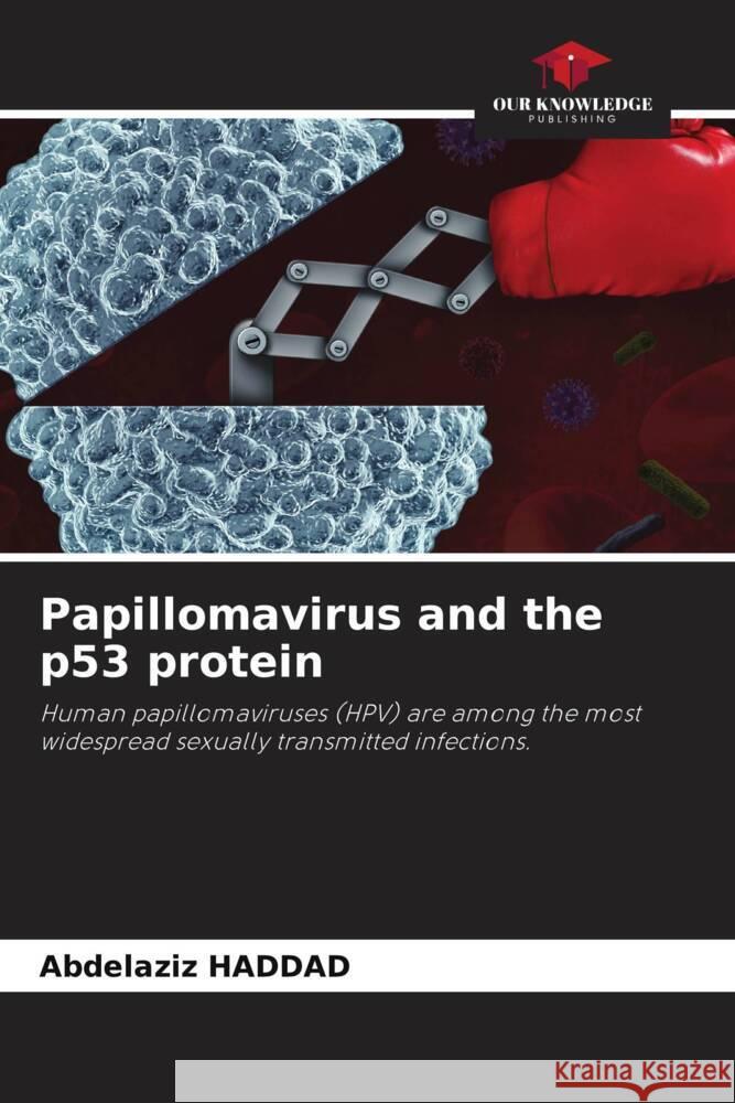 Papillomavirus and the p53 protein Abdelaziz Haddad 9786207987528 Our Knowledge Publishing - książka