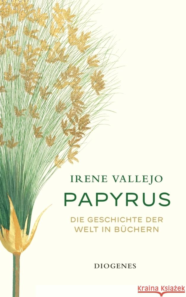 Papyrus Vallejo, Irene 9783257248173 Diogenes - książka