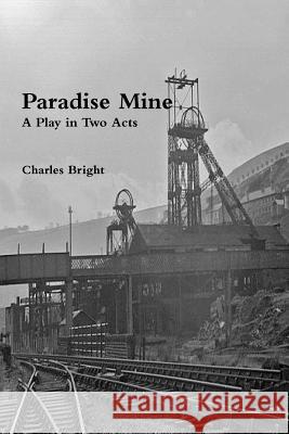 Paradise Mine Charles Bright 9781312475717 Lulu.com - książka