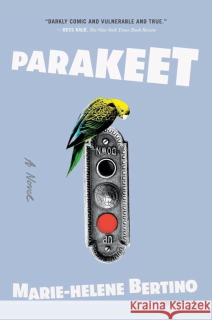 Parakeet Marie-Helene Bertino 9781250798510 Picador USA - książka
