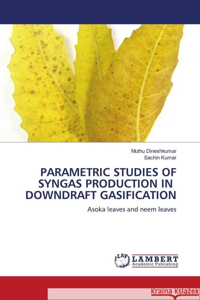 PARAMETRIC STUDIES OF SYNGAS PRODUCTION IN DOWNDRAFT GASIFICATION Dineshkumar, Muthu, Kumar, Sachin 9786206785132 LAP Lambert Academic Publishing - książka