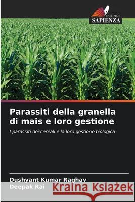 Parassiti della granella di mais e loro gestione Dushyant Kumar Raghav Deepak Rai 9786207556458 Edizioni Sapienza - książka