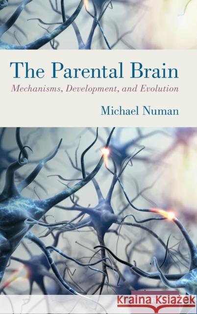 Parental Brain: Mechanisms, Development, and Evolution Numan, Michael 9780190848675 Oxford University Press, USA - książka