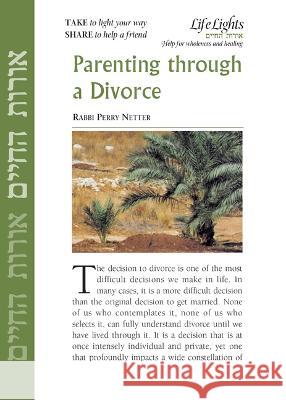 Parenting Through a Divorce-12 Pk Jewish Lights Publishing 9781683366218 Jewish Lights Publishing - książka