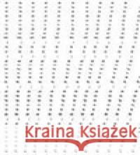 Parčík na Štursovce Vladimír Kokolia 9788087274415 Burian a Tichák - książka