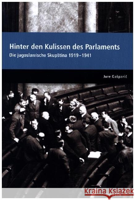 Parlamente in Europa / Hinter den Kulissen des Parlaments Gasparic, Jure 9783770053599 Droste - książka