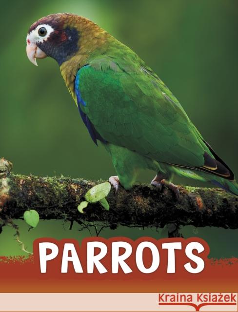 Parrots Mari Schuh 9781474796217 Capstone Global Library Ltd - książka