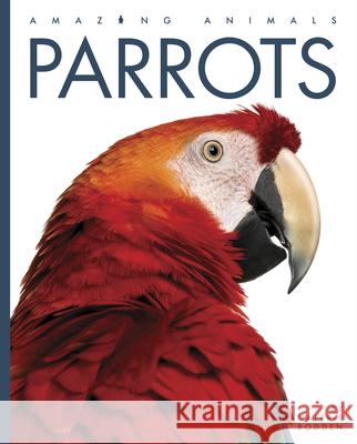 Parrots Valerie Bodden 9781640265486 Creative Education - książka