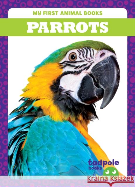 Parrots Genevieve Nilsen 9798885246798 Tadpole Books - książka