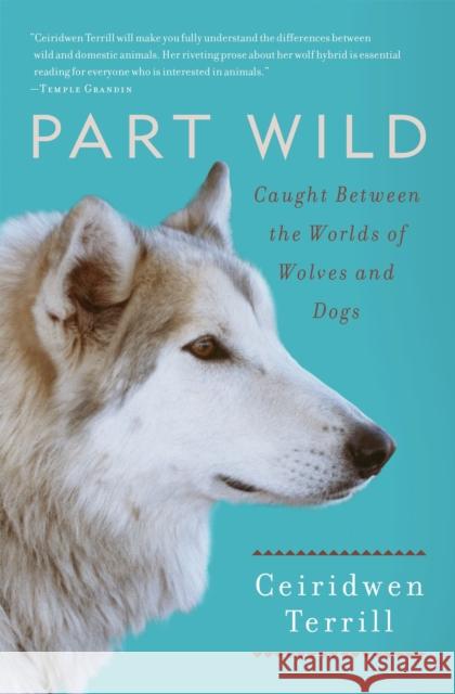 Part Wild: Caught Between the Worlds of Wolves and Dogs Ceiridwen Terrill 9781451634822 Scribner Book Company - książka