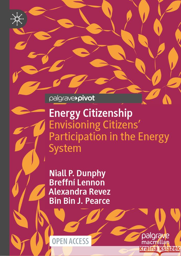 Participation and the Energy Transition: The Role of Citizenship in Actioning Effective Change Niall Dunphy Breffní Lennon Alexandra Revez 9783031701528 Palgrave MacMillan - książka