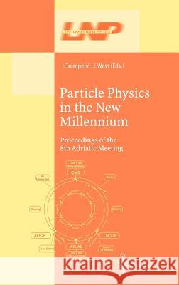 Particle Physics in the New Millennium: Proceedings of the 8th Adriatic Meeting Trampetic, Josip 9783540007111 Springer - książka