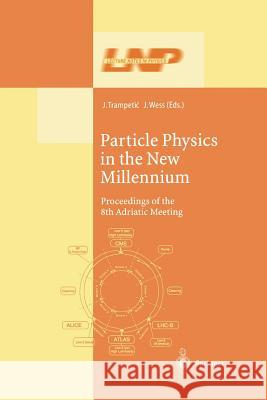 Particle Physics in the New Millennium: Proceedings of the 8th Adriatic Meeting Trampetic, Josip 9783662144152 Springer - książka