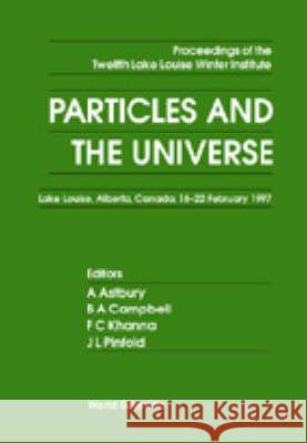 Particles And The Universe: Proceedings Of The 12th Lake Winter Institute Alan Astbury, Bruce A Campbell, Faqir C Khanna 9789810234676 World Scientific (RJ) - książka