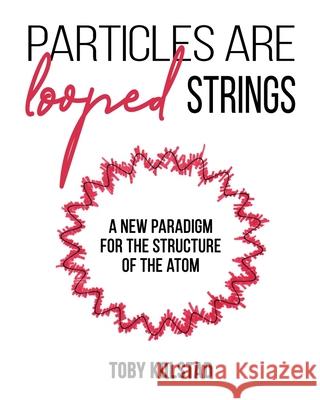 Particles are Looped Strings Toby Kolstad 9781662920165 Gatekeeper Press - książka