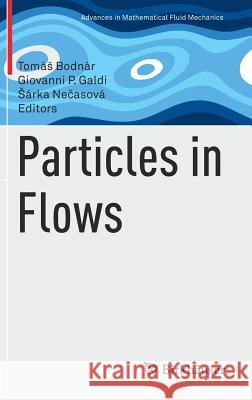 Particles in Flows Tomas Bodnar Giovanni P. Galdi Sarka Nečasova 9783319602813 Birkhauser - książka