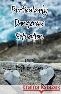 Particularly Dangerous Situation Beth Gordon 9781947653832 Clare Songbirds Publishing House - książka