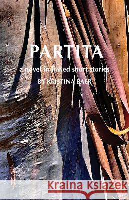 Partita-a novel in linked short stories Kristina Baer 9781953120519 Park Place Publications - książka