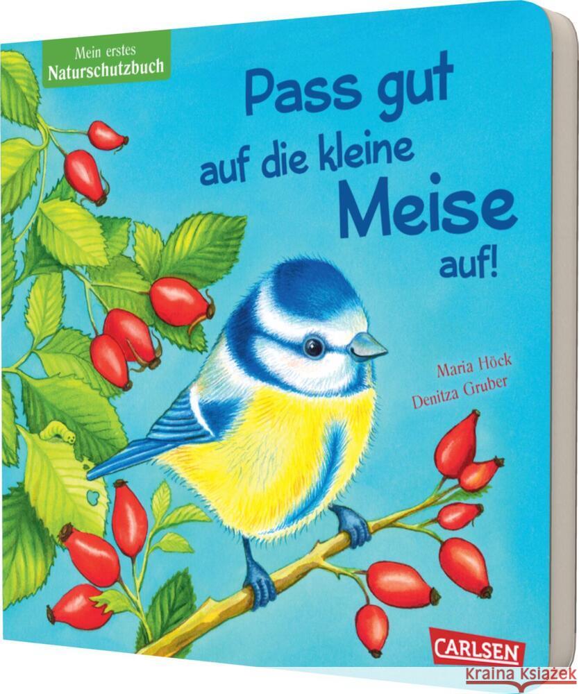 Pass gut auf die kleine Meise auf Höck, Maria 9783551172815 Carlsen - książka