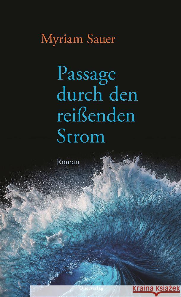 Passage durch den reißenden Strom Sauer, Myriam 9783896563316 Querverlag - książka