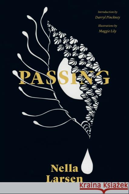 Passing Nella Larsen Maggie Lily 9781632062024 Restless Books - książka