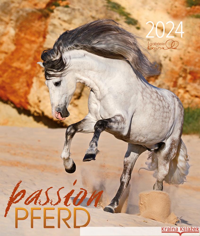 Passion Pferd 2024 Boiselle, Gabriele 9783964120687 Edition Boiselle - książka