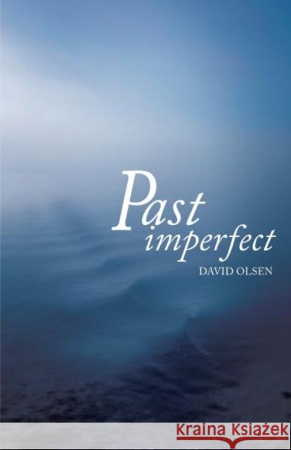 Past Imperfect David Olsen   9781788640435 Cinnamon Press - książka