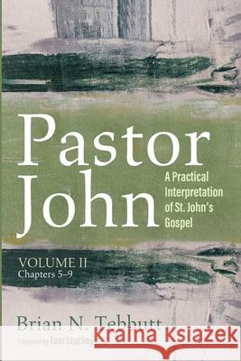 Pastor John, Volume II Brian N Tebbutt, Tom Stuckey 9781666719413 Wipf & Stock Publishers - książka