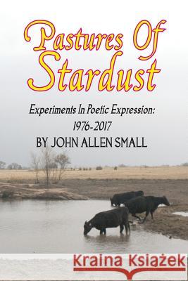 Pastures Of Stardust: Experiments In Poetic Expression Small, John Allen 9781546930204 Createspace Independent Publishing Platform - książka