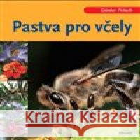 Pastva pro včely Günter Pritsch 9788074331121 Víkend - książka