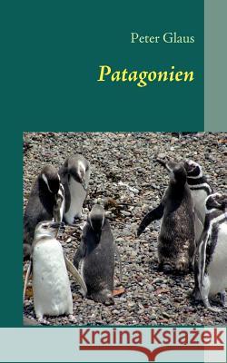 Patagonien: Argentinien & Chile Peter Glaus 9783837043686 Books on Demand - książka