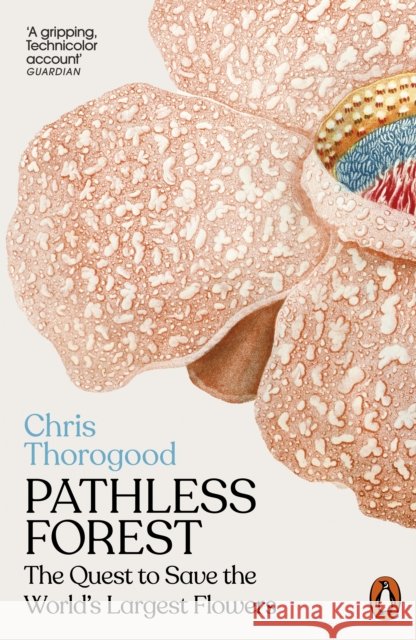 Pathless Forest: The Quest to Save the World’s Largest Flowers Dr Chris Thorogood 9781802062427 Penguin Books Ltd - książka