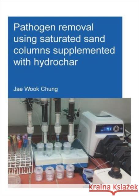 Pathogen Removal Using Saturated Sand Columns Supplemented with Hydrochar Jae Wook Chung 9781138029293 CRC Press - książka