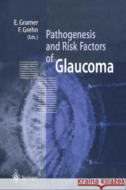 Pathogenesis and Risk Factors of Glaucoma E. Gramer F. Grehn Eugen Gramer 9783642643026 Springer - książka