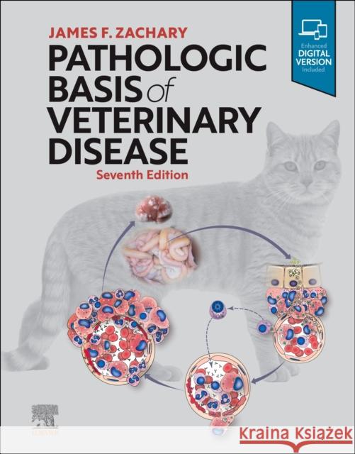 Pathologic Basis of Veterinary Disease James F. Zachary 9780323713139 Elsevier - Health Sciences Division - książka