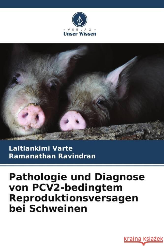 Pathologie und Diagnose von PCV2-bedingtem Reproduktionsversagen bei Schweinen Varte, Laltlankimi, Ravindran, Ramanathan 9786205408926 Verlag Unser Wissen - książka