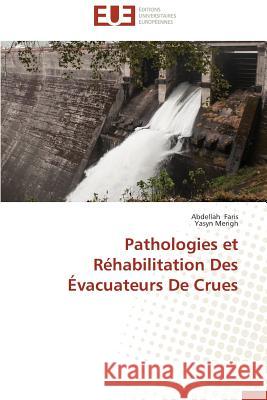 Pathologies Et Réhabilitation Des Évacuateurs de Crues Collectif 9783841796332 Editions Universitaires Europeennes - książka