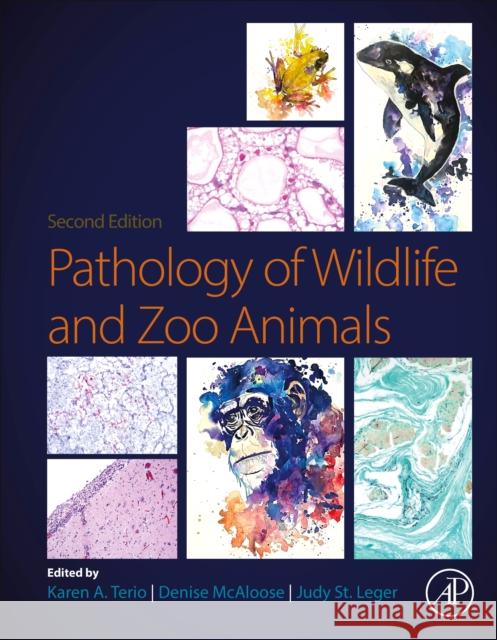 Pathology of Wildlife and Zoo Animals  9780443184376 Elsevier Science Publishing Co Inc - książka