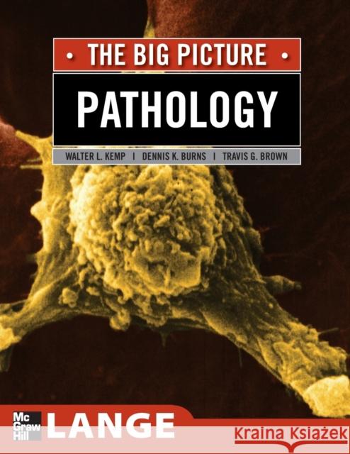 Pathology: The Big Picture William Kemp Walter L. Kemp 9780071477482 McGraw-Hill Medical Publishing - książka