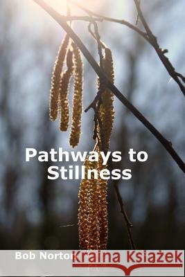 Pathways to Stillness: Removing the Layers of Illusion Bob Norton 9781511811026 Createspace - książka