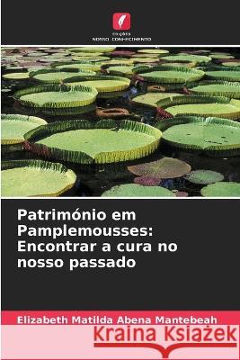 Patrim?nio em Pamplemousses: Encontrar a cura no nosso passado Elizabeth Matilda Abena Mantebeah 9786205740170 Edicoes Nosso Conhecimento - książka