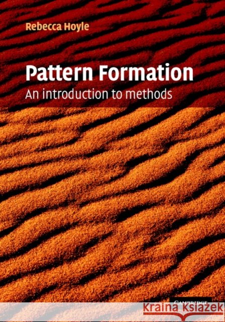 Pattern Formation: An Introduction to Methods Hoyle, Rebecca 9780521817509 Cambridge University Press - książka