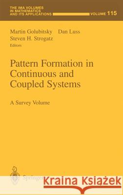 Pattern Formation in Continuous and Coupled Systems: A Survey Volume Golubitsky, Martin 9780387988740 Springer - książka