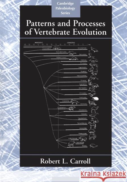 Patterns and Processes of Vertebrate Evolution Robert L. Carroll D. E. G. Briggs P. Dodson 9780521478090 Cambridge University Press - książka