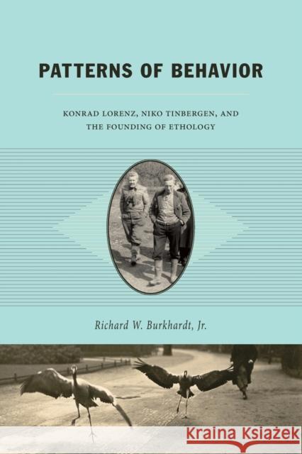 Patterns of Behavior: Konrad Lorenz, Niko Tinbergen, and the Founding of Ethology Burkhardt, Richard W. 9780226080901 University of Chicago Press - książka