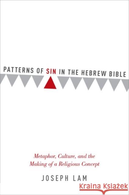 Patterns of Sin in the Hebrew Bible Lam 9780199394647 Oxford University Press, USA - książka