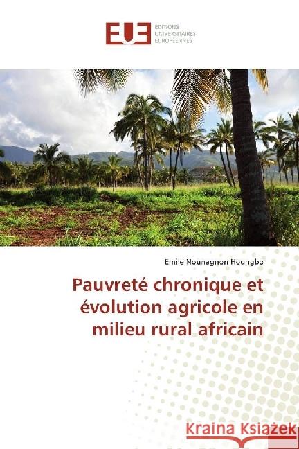 Pauvreté chronique et évolution agricole en milieu rural africain Houngbo, Emile Nounagnon 9783639560596 Éditions universitaires européennes - książka